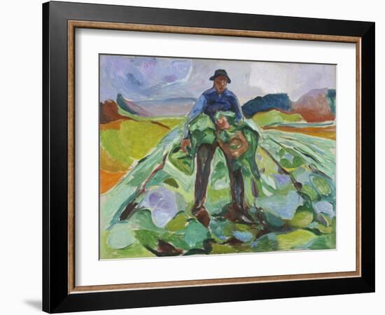 Man in the Cabbage Field, 1916 (Oil on Canvas)-Edvard Munch-Framed Giclee Print