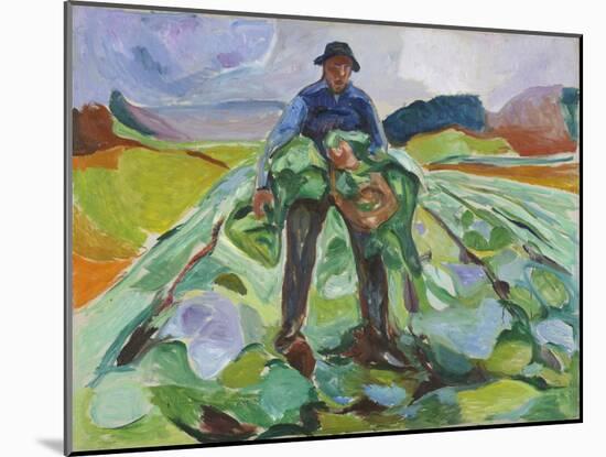 Man in the Cabbage Field, 1916 (Oil on Canvas)-Edvard Munch-Mounted Giclee Print