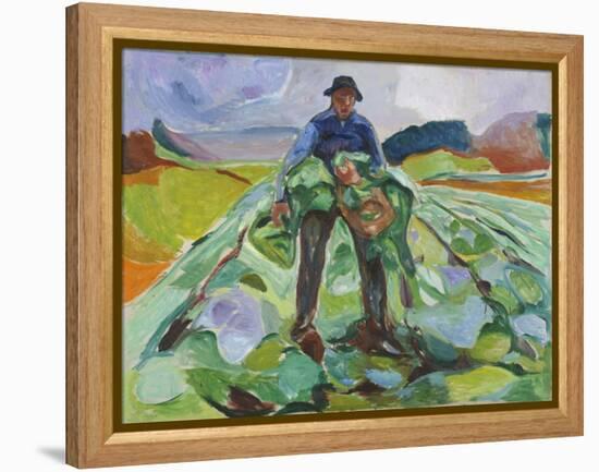 Man in the Cabbage Field, 1916 (Oil on Canvas)-Edvard Munch-Framed Premier Image Canvas