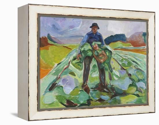 Man in the Cabbage Field, 1916 (Oil on Canvas)-Edvard Munch-Framed Premier Image Canvas