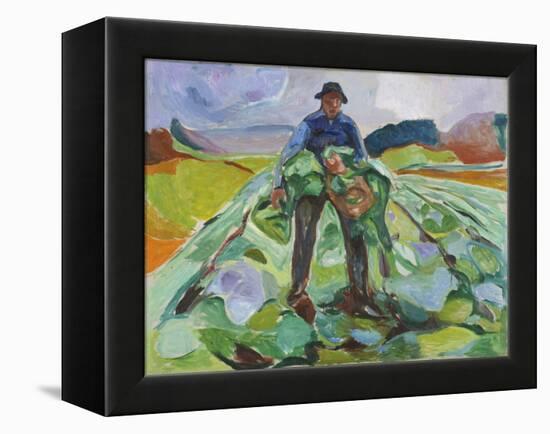 Man in the Cabbage Field, 1916 (Oil on Canvas)-Edvard Munch-Framed Premier Image Canvas