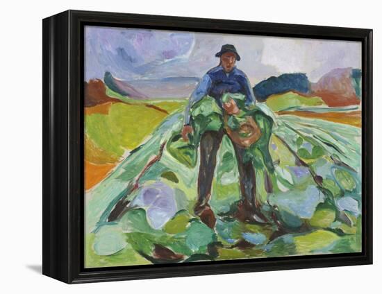 Man in the Cabbage Field, 1916 (Oil on Canvas)-Edvard Munch-Framed Premier Image Canvas