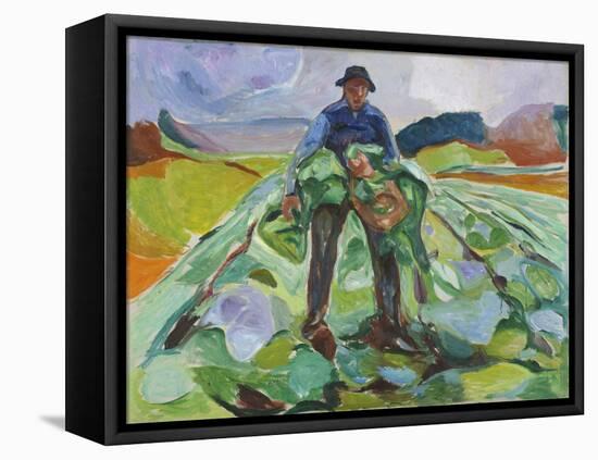 Man in the Cabbage Field, 1916 (Oil on Canvas)-Edvard Munch-Framed Premier Image Canvas