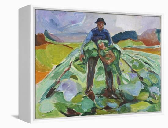 Man in the Cabbage Field, 1916 (Oil on Canvas)-Edvard Munch-Framed Premier Image Canvas