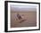 Man in Traditional Dress Riding Camel, Morocco-Merrill Images-Framed Photographic Print