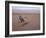 Man in Traditional Dress Riding Camel, Morocco-Merrill Images-Framed Photographic Print