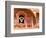 Man in Window of Fort Palace, Jodhpur at Fort Mehrangarh, Rajasthan, India-Bill Bachmann-Framed Photographic Print