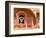 Man in Window of Fort Palace, Jodhpur at Fort Mehrangarh, Rajasthan, India-Bill Bachmann-Framed Photographic Print