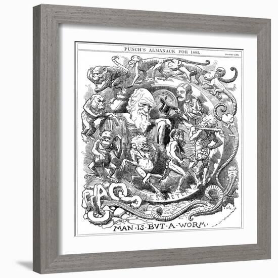 Man Is But a Worm, Cartoon from Punch Showing Evolution from Worm to Man, 1881-null-Framed Giclee Print