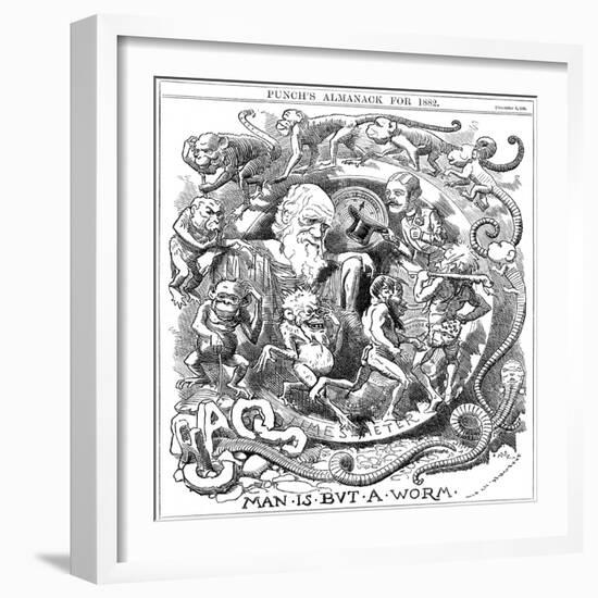 Man Is But a Worm, Cartoon from Punch Showing Evolution from Worm to Man, 1881-null-Framed Giclee Print