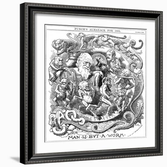 Man Is But a Worm, Cartoon from Punch Showing Evolution from Worm to Man, 1881-null-Framed Giclee Print