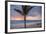 Man Jogging at Sunrise, Bavaro, Higuey, Punta Cana, Dominican Republic-Lisa S. Engelbrecht-Framed Photographic Print