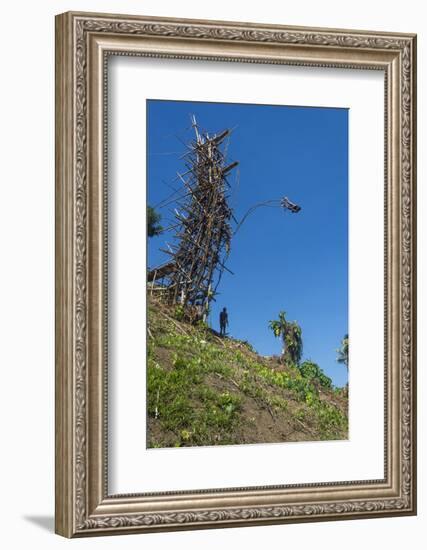 Man jumping from a bamboo tower, Pentecost land diving, Pentecost, Vanuatu, Pacific-Michael Runkel-Framed Photographic Print