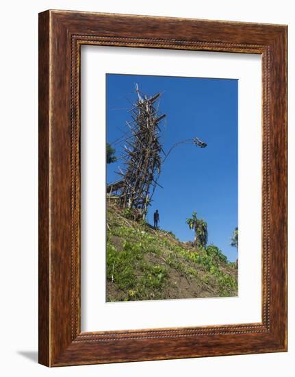 Man jumping from a bamboo tower, Pentecost land diving, Pentecost, Vanuatu, Pacific-Michael Runkel-Framed Photographic Print