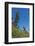 Man jumping from a bamboo tower, Pentecost land diving, Pentecost, Vanuatu, Pacific-Michael Runkel-Framed Photographic Print