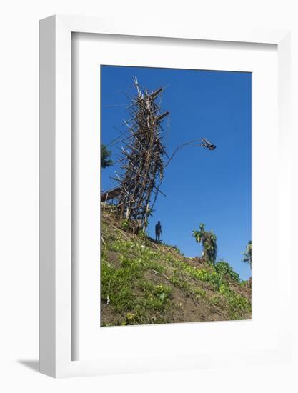 Man jumping from a bamboo tower, Pentecost land diving, Pentecost, Vanuatu, Pacific-Michael Runkel-Framed Photographic Print