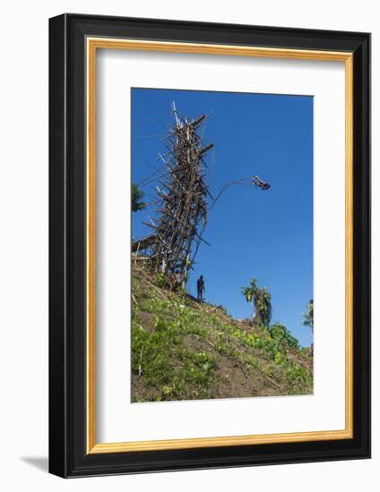 Man jumping from a bamboo tower, Pentecost land diving, Pentecost, Vanuatu, Pacific-Michael Runkel-Framed Photographic Print