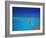 Man Jumping into Tropical Sea from Deck, Maldives, Indian Ocean-Papadopoulos Sakis-Framed Photographic Print