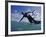 Man Kitesurfing on the Surface of Water-null-Framed Photographic Print