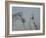 Man Leading Horse-Lincoln Seligman-Framed Giclee Print