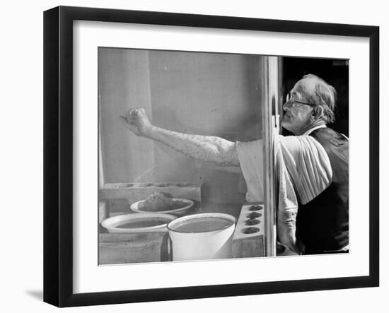 Man Letting Mosquitoes Land on His Arm During Yellow Fever Testing-Hansel Mieth-Framed Photographic Print