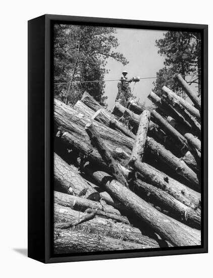 Man Lifting Logs Out of a Lumber Pile-J^ R^ Eyerman-Framed Premier Image Canvas