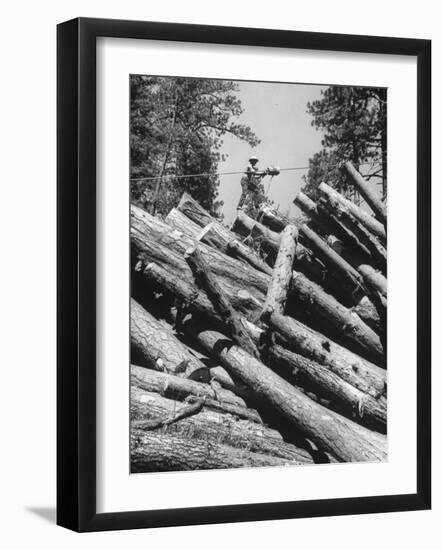 Man Lifting Logs Out of a Lumber Pile-J^ R^ Eyerman-Framed Photographic Print