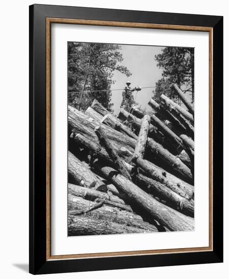 Man Lifting Logs Out of a Lumber Pile-J^ R^ Eyerman-Framed Photographic Print