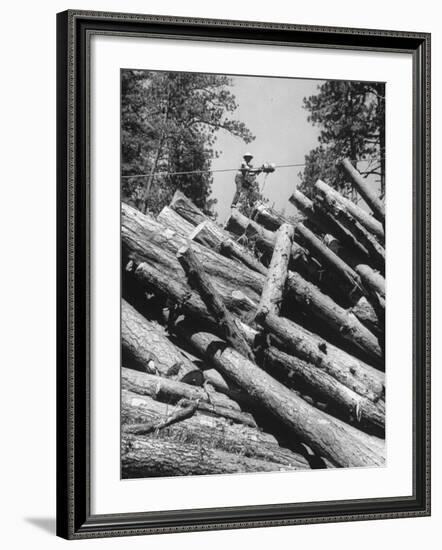 Man Lifting Logs Out of a Lumber Pile-J^ R^ Eyerman-Framed Photographic Print