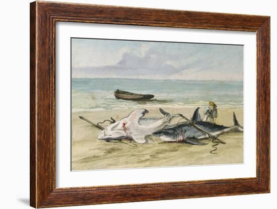 Man Measuring Two Dead Sharks on a Beach, Walvis Bay, Namibia, 1861-Thomas Baines-Framed Giclee Print