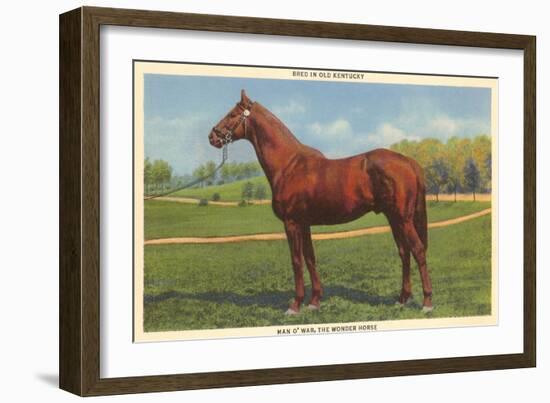 Man O'War, Kentucky Thoroughbred-null-Framed Art Print