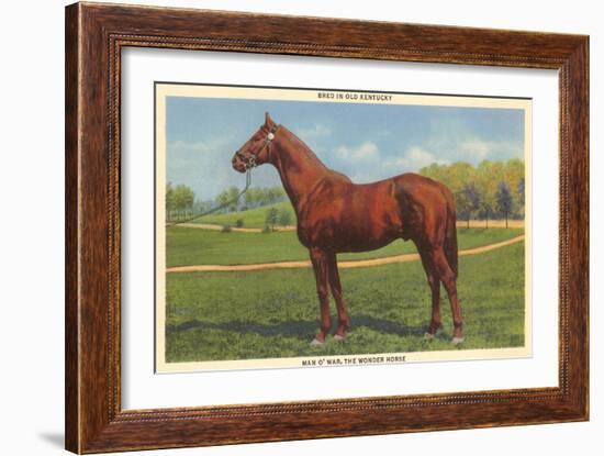 Man O'War, Kentucky Thoroughbred-null-Framed Art Print