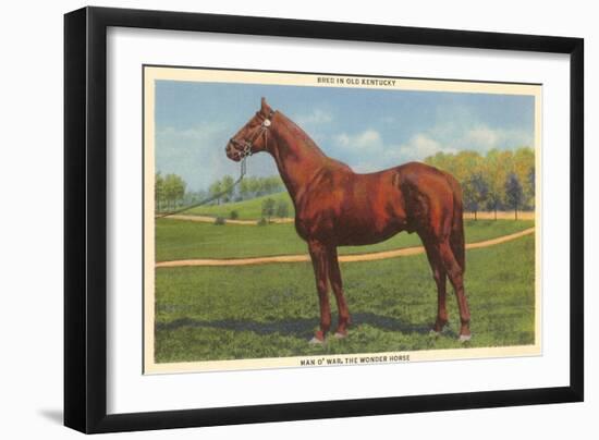 Man O'War, Kentucky Thoroughbred-null-Framed Art Print