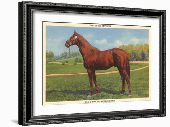 Man O'War, Kentucky Thoroughbred-null-Framed Art Print