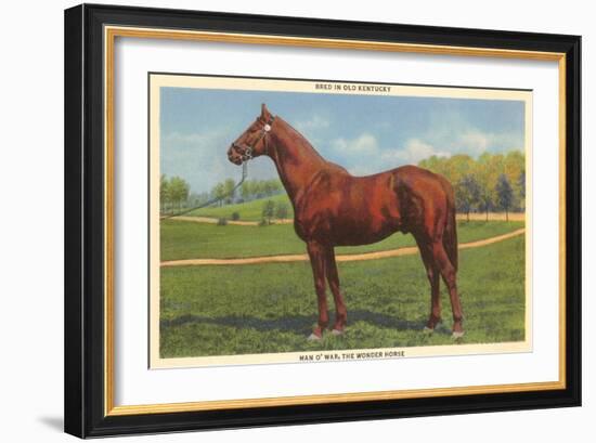 Man O'War, Kentucky Thoroughbred-null-Framed Art Print