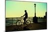 Man on a Bicycle, Battery Park, New York City-Sabine Jacobs-Mounted Photographic Print
