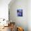 Man on Balcony Rail During Village Festival, Chinceros, Peru-Jim Zuckerman-Photographic Print displayed on a wall