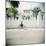 Man on Bicycle with Old Buildings Behind, Stone Town, Zanzibar, Tanzania, East Africa, Africa-Lee Frost-Mounted Photographic Print