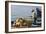 Man on Board a Fishing Boat, Sami, Kefalonia, Greece-Peter Thompson-Framed Photographic Print