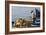 Man on Board a Fishing Boat, Sami, Kefalonia, Greece-Peter Thompson-Framed Photographic Print