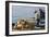 Man on Board a Fishing Boat, Sami, Kefalonia, Greece-Peter Thompson-Framed Photographic Print