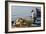 Man on Board a Fishing Boat, Sami, Kefalonia, Greece-Peter Thompson-Framed Photographic Print