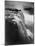 Man on Boardwalk at Horseshoe Falls-null-Mounted Photographic Print