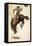 Man on Bucking Bronco, 1902-Newell Convers Wyeth-Framed Premier Image Canvas