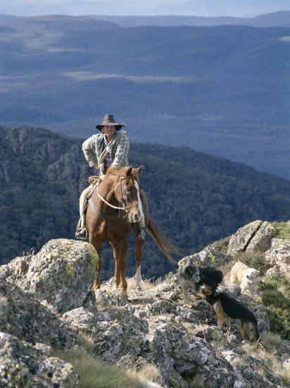 Man On Horse With Dogs The Man From Snowy River Victoria Australia Photographic Print Claire Leimbach Art Com