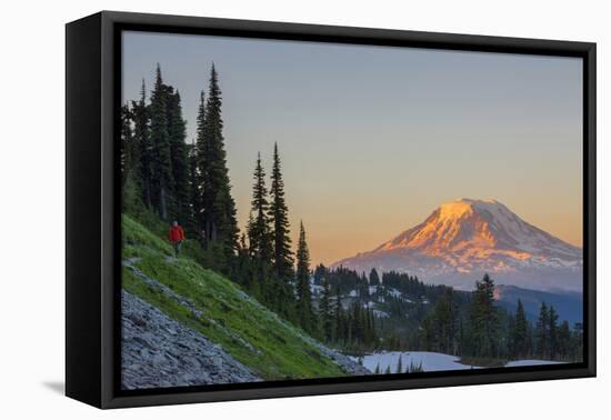 Man on Trail, Mt Adams Back, Goat Rocks Wilderness, Washington, USA-Gary Luhm-Framed Premier Image Canvas