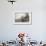 Man Panning Gold on Nome, Alaska, Beach in the Early 20th Century-null-Framed Photo displayed on a wall