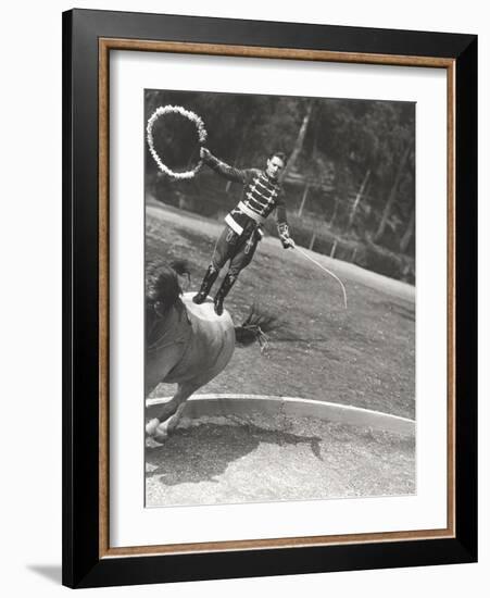 Man Performing Stunt While Standing on Horse-null-Framed Photo