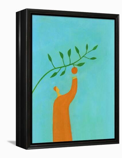 Man picking an orange-Marie Bertrand-Framed Premier Image Canvas