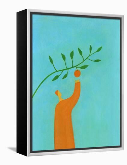 Man picking an orange-Marie Bertrand-Framed Premier Image Canvas